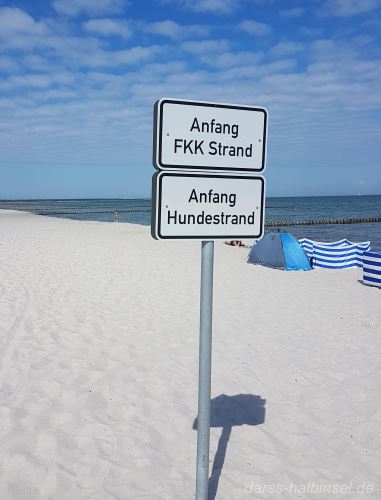 Hund am Strand in Prerow