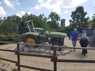 Ponnyreiten auf Karls Erdbeerhof