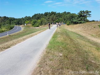 Radfahren auf dem Deich an der Ostsee