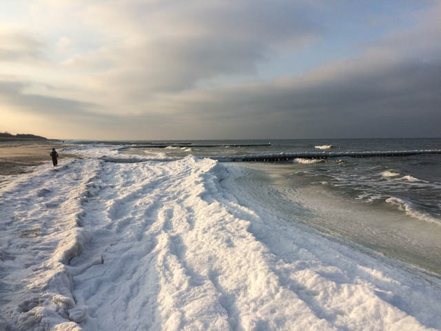 Winter auf dem Darß