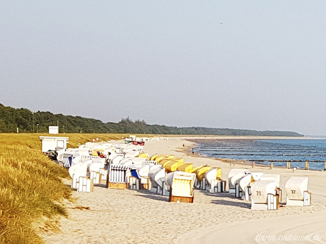 Strand mit Strandkörben Zingst