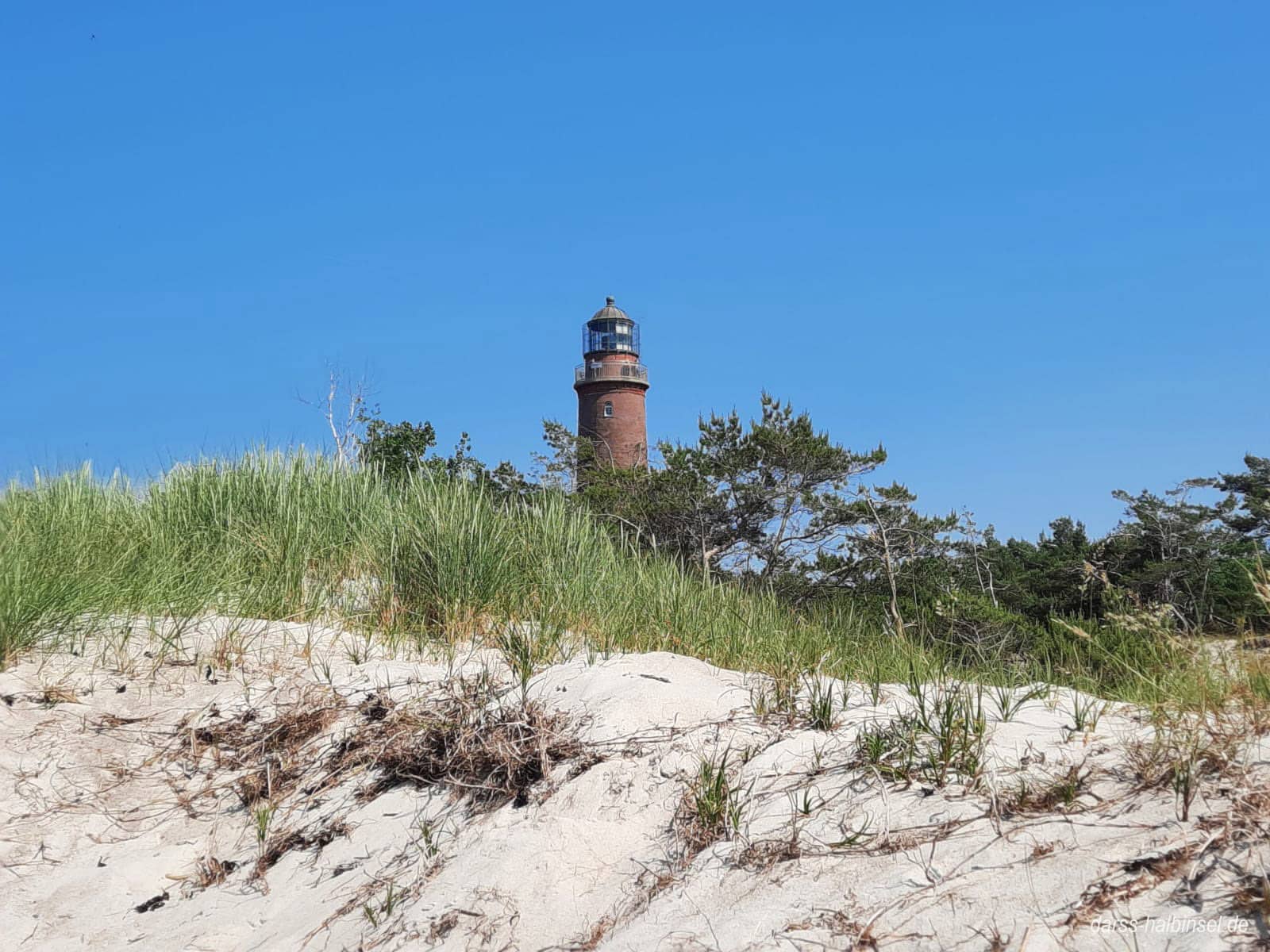 Blick vom Leuchtturm Darßer Ort