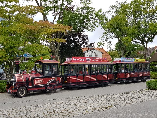 Darßbahn Zingst