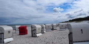 10 Gründe, warum Darß-Webcams vor der Reise so hilfreich sind