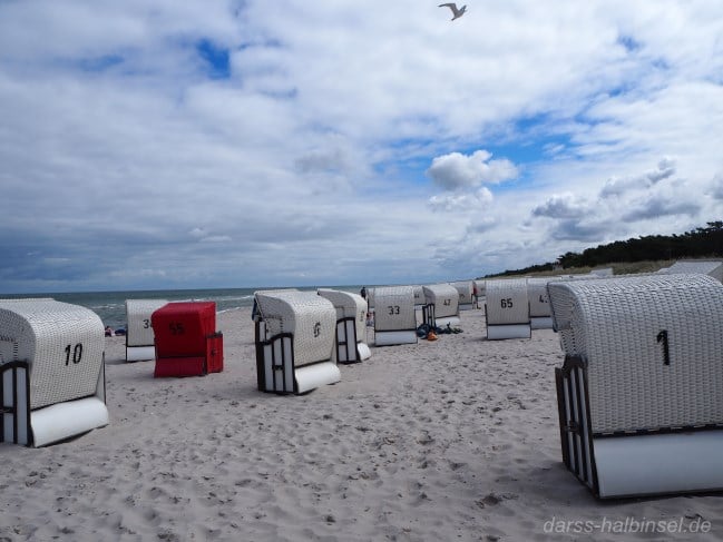 Strandkörbe an der Seebrücke in Prerow