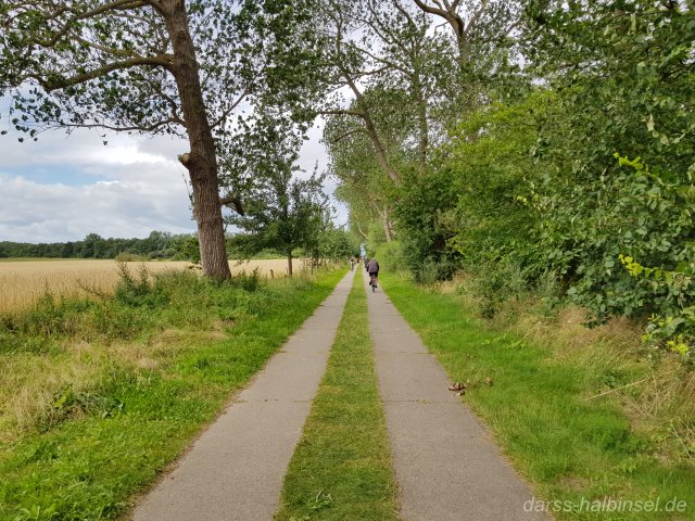 Wanderweg Steilküste